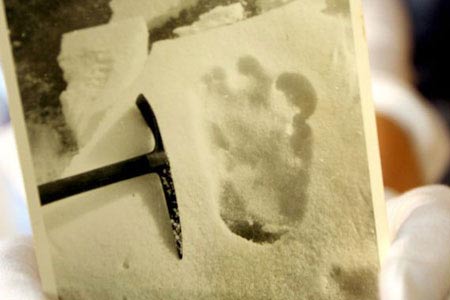 Tiết lộ “Dấu chân người tuyết trên dãy Himalaya”