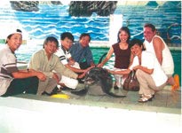 Gương mặt nhà khoa học: Nữ tiến sĩ “cá heo”