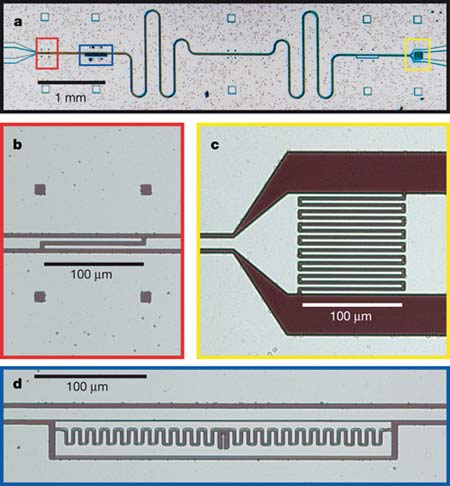 Chế tạo thành công nguồn phát viba đơn photon trên một IC