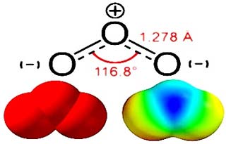 Ozone vừa hại phổi vừa làm suy yếu miễn dịch