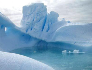 Vi sinh vật vẫn tồn tại ở Nam Cực trong kỷ băng hà