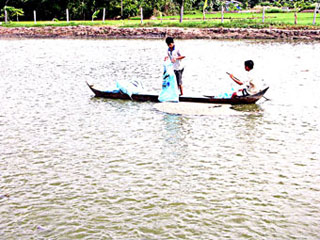 Bảo vệ môi trường nước mặt ở Đồng bằng sông Cửu Long
