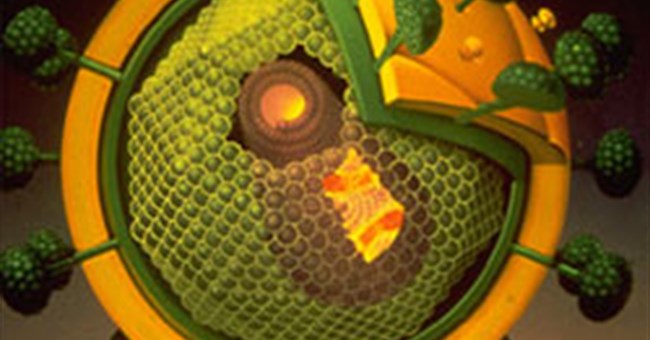 “Vũ khí” mới để ức chế HIV