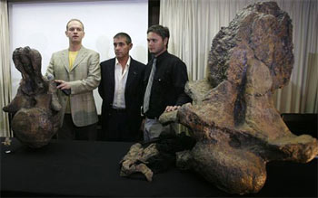 Phát hiện bộ xương khủng long khổng lồ lành lặn nhất