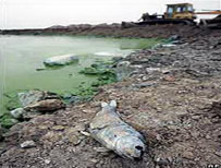 Trung Quốc: chi 14,5 tỉ USD làm sạch Thái Hồ