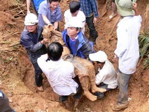 Bão Peipah đã mạnh lên cấp 12