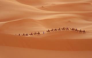 Sa mạc và cuộc xâm lăng hành tinh xanh