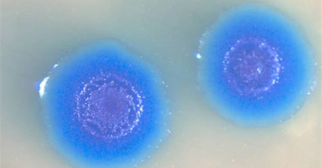 Có thể tạo ra sự sống!