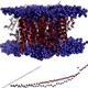 Phát hiện mới về hoạt động của protein