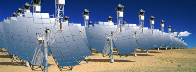 Bắt sa mạc Sahara 