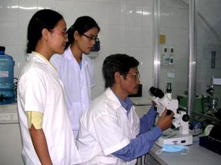 Việt Nam: Ngân hàng tế bào gốc sắp đi vào hoạt động