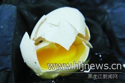 Chim cánh cụt nhịn ăn vì bị vỡ trứng