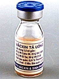 Uống vắc-xin ngừa bệnh tả