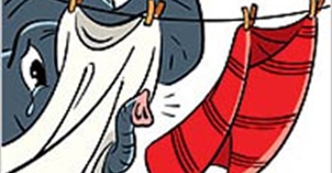 Bạn có tin: Voi có thể đánh hơi được ở khoảng cách hàng dặm?