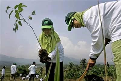 Indonesia phát động toàn dân trồng cây
