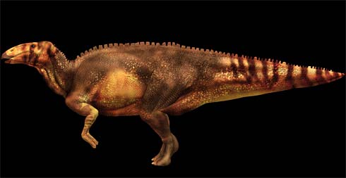 Phát hiện hóa thạch khủng long 67 triệu năm tuổi