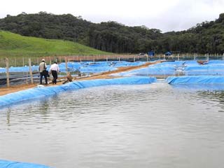 Nuôi thành công cá hồi trên núi Đạ Chais