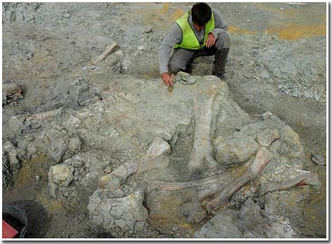 Phát hiện “nghĩa địa” khủng long ở Tây Ban Nha