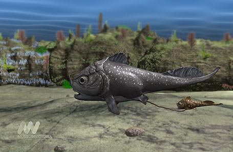 Hóa thạch cá 380 triệu năm tuổi mang bào thai