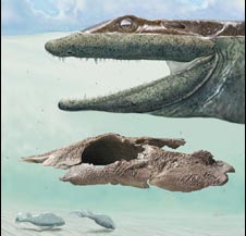 Phát hiện hóa thạch sinh vật 4 chân nguyên thủy nhất