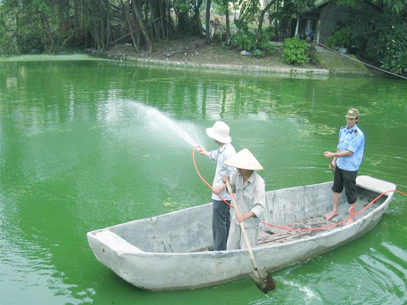 Hà Nội: Làm sạch nước hồ bằng công nghệ nội