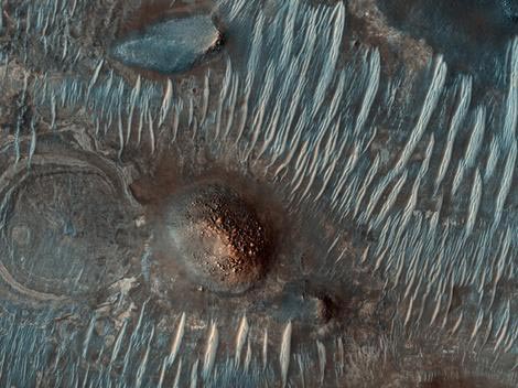 Đất trên sao Hỏa có khả năng hỗ trợ cho sự sống