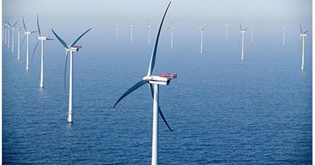 Thiết kế tuabin gió dựa trên cá voi và cá heo