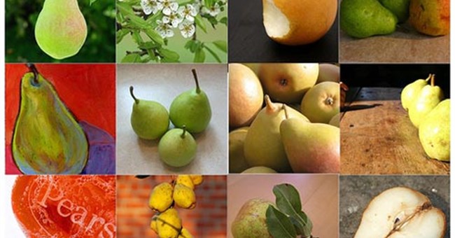 Tại sao lê dễ hỏng hơn táo trong quá trình bảo quản?