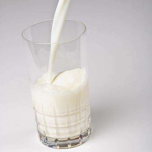 Con người yêu sữa từ 6000 năm trước công nguyên 