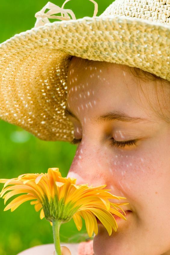 Các nhà khoa học có thể làm tăng hương thơm của hoa 