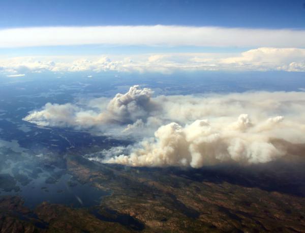 Cháy rừng và ô nhiễm ôzôn 