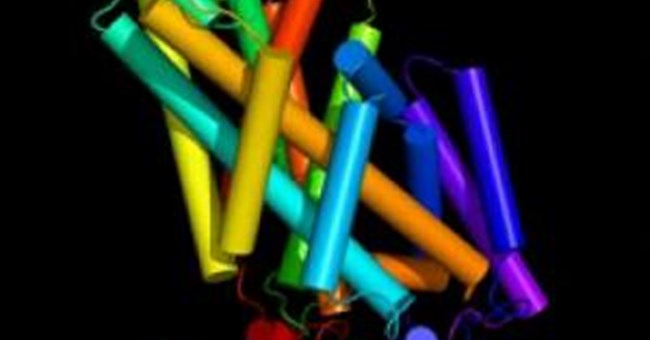 Làm cách nào Protein mở “cánh cửa” vào bên trong tế bào 