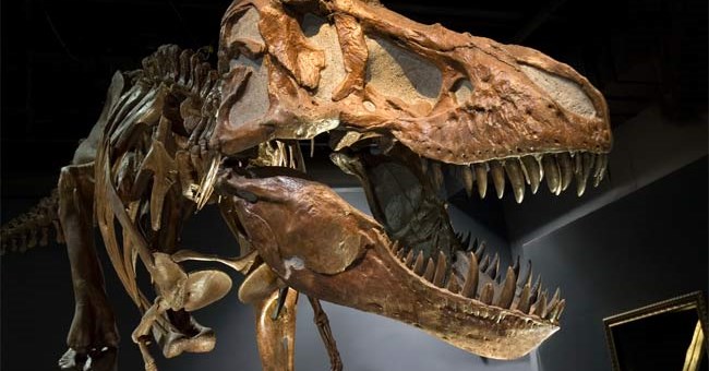 Khủng long T. rex là sát thủ thực sự 
