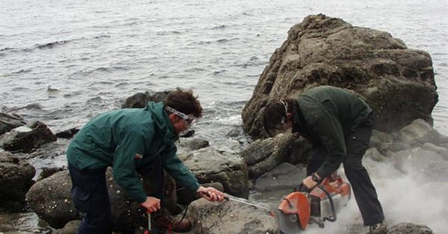 Rùa nguyên thủy kỷ Jura biết bơi