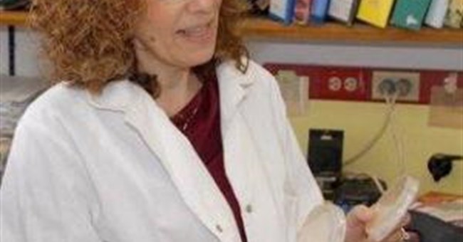 Phát hiện cơ chế biến đổi của tế bào phôi