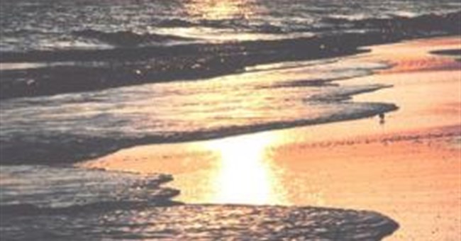 Con người và biển làm thay đổi khí hậu Bắc Mỹ 50 năm qua