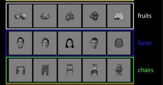 Não bộ có thể nhận ra các vật thể nhanh hơn nhiều người vẫn nghĩ 