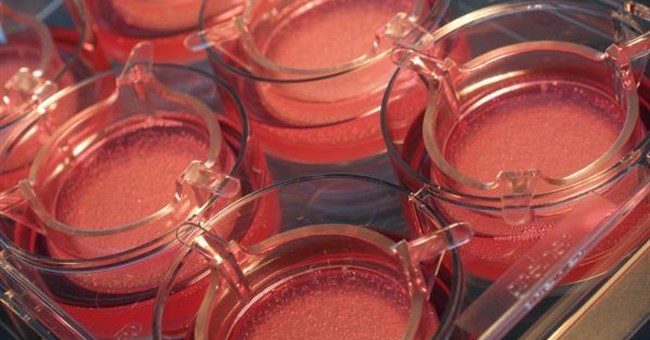 Da nhân tạo được sản xuất theo quy trình hoàn toàn tự động 