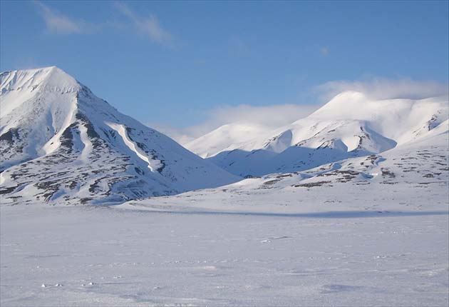 Các sinh vật cổ tồn tại trong mùa đông Bắc Cực