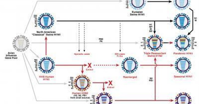 Triều đại cúm: năm 1918 và ngày nay