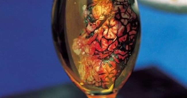 Phát hiện vùng hoạt động của chất cồn bên trong não