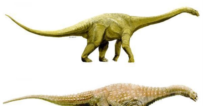3 hóa thạch mới đưa Úc trở lại bản đồ khủng long