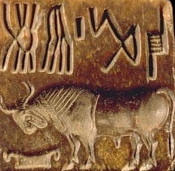 Máy tính khám phá bí mật của hệ thống chữ Indus cổ