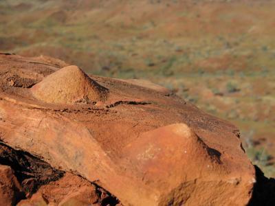 Các vi sinh vật cổ hình thành đá Stromatolite 34 triệu năm tuổi