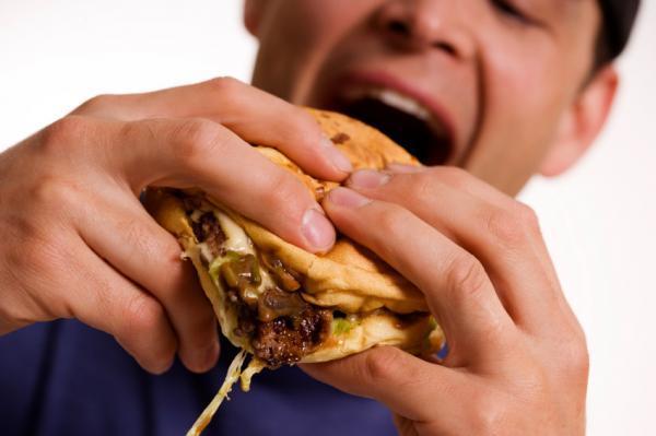 Chế độ ăn nhiều béo dẫn tới ngu đần và lười biếng?