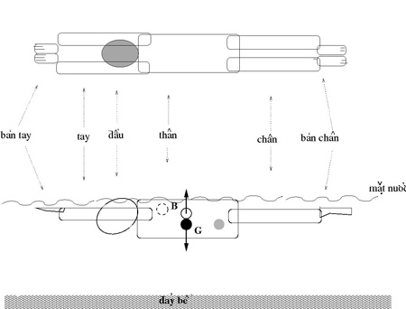 Phương pháp để nổi trên nước lâu không cần cử động