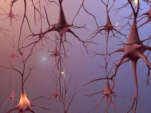 Cách mới chẩn đoán bệnh thoái hóa thần kinh