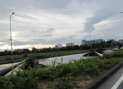 Nghệ An: Bão số 3 gây thiệt hại lớn