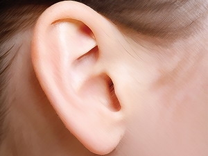 Xác định danh tính của một người nhờ vào đôi tai