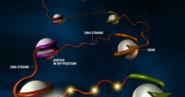 Bí ẩn bộ gen người  